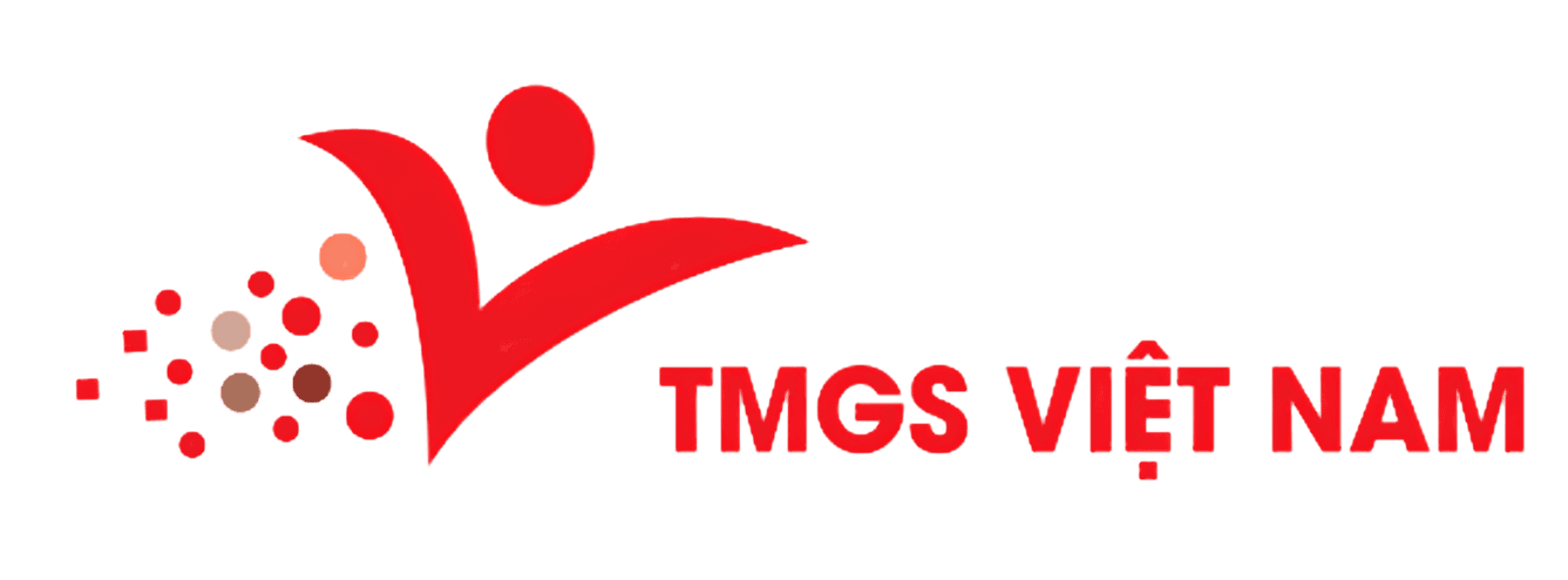 TMGS Việt Nam